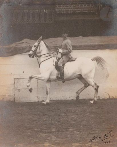 null Albert Londe (1858-1917
)Rider and his mount in motion, 1888. 
Vintage silver...