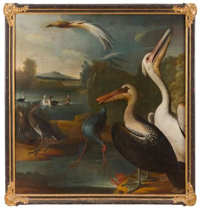 null 18th century GERMAN school, follower of Aert SCHOUMAN
Heron and birds
Pair of...