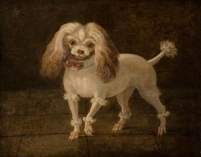 null Attributed to Gabriel Rouette
(18th century France)
Poodle 
Canvas.
Illegible...