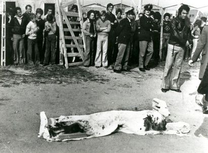 null Photographe non identifié
Assassinat de Pier Paolo Pasolini, c. 1975-1985.
Plage...