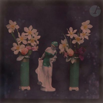 null Unidentified Autochromist 
Lizards. Flowers
. Still lifes, c. 1920. Three autochromes....