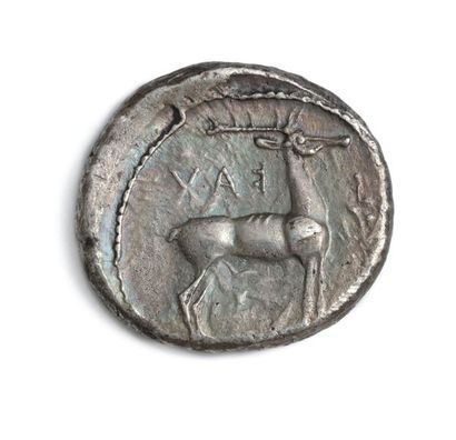 null Stater: 3 copies. Taranto (3rd century BC), Caulonia (5th - 4th century BC),...