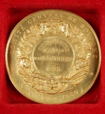 null IIIe REPUBLIQUE (1871 - 1940)

Comité central de Sologne

Médaille en or attribuée....