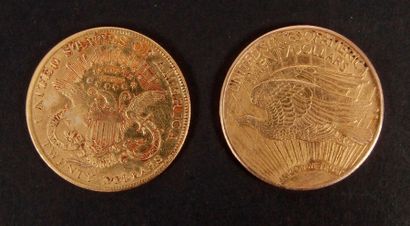 null 2 FALSE gold 20-dollar coins. Weight: 66.56 g