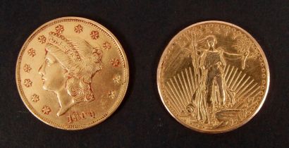 null 2 FAUSSES pièces de 20 dollars en or. Poids : 66,56 g