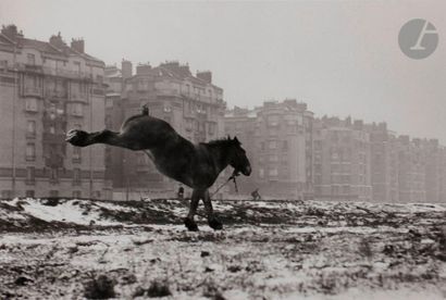 null Sabine Weiss (1924)
Cheval ruant, Porte de Vanves, Paris, 1952.
Épreuve argentique...