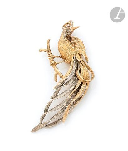null Brooch in 18K (750) colored gold drawing a crested bird with a long tail resting...