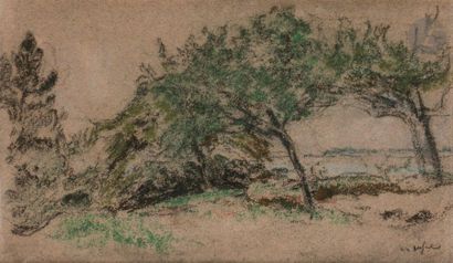 null Ker-Xavier ROUSSEL (1867-1944)
Petits arbres dans la campagne, vers 1904-1905
Pastel.
Signé...