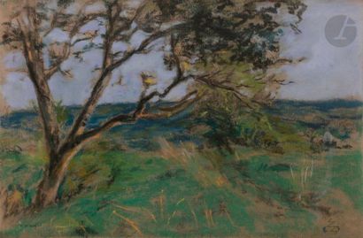 null Ker-Xavier ROUSSEL (1867-1944
)Landscape at L'Étang-la-Ville, circa 1904-05Pastel
.
Signed...