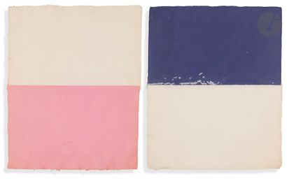 null Anne-Marie MILLIOT (1977-1985
)Composition, circa
1979White and dyed Ambert
paper
-...