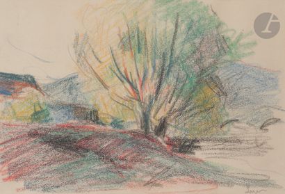 null Maximilien LUCE (1858-1941)
Paysage à l’arbre
Pastel gras.
Signé en bas à droite.
14 x 21 cm

Provenance :...
