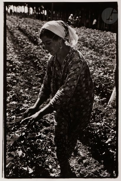 null *Louis Stettner (1922-2016)
URSS, 1973-1975. 
Generator Factory. Children on...