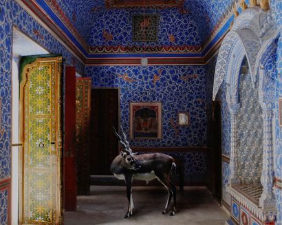 null *Karen Knorr (1954)
De la série India Song, 2011.
The Sound of Rain. Junagarh...