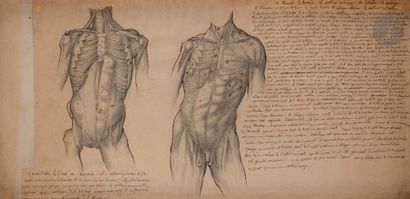 null 19th century French schoolTwo
studies of
anatomyBlack
pencil
, pen and brown...
