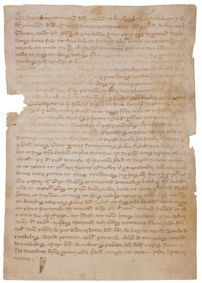 null [GUARD]. [THE BOUZIGES]. Deed of sale of land located at the Mas de Boziges...