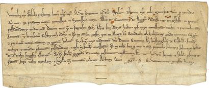 null Abbaye de BEAUGERAIS. Charte, juin 1229 ; vélin 8 x 20,5 cm ; en latin.

 Donation...