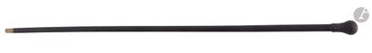null Defense cane with flexible shaft in coated braid and ball knob, complete with...