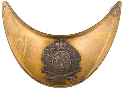 Artillery officer's collar.
Brass plate,...