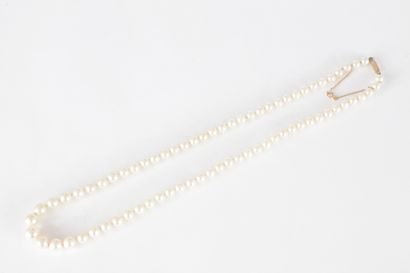  Collier de perles de culture en chute, fermoir en or 18K (750). 
Longueur : 49,5...