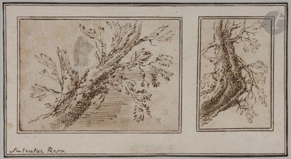null Salvator ROSA (Naples 1615 - Rome 1673)

Deux études de troncs d’arbres

Plume...