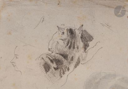 null Jean Ignace Isidore GRANDVILLE (Nancy 1803 - Vanves 1847)

3 studies of a cat...