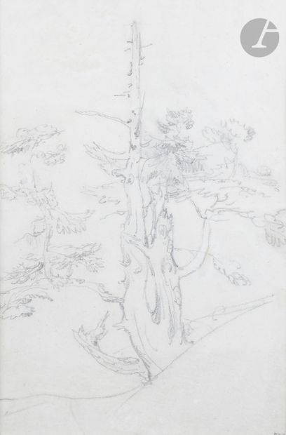 null Théodore ROUSSEAU (Paris 1812 - Barbizon 1867)

Étude d’arbre

Crayon noir.

Cachet...