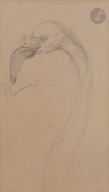 Attribué à John RUSKIN (1819-1900)
Flamant
Crayon...