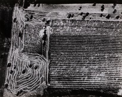 null Mario Giacomelli (1925-2 000)
Sans titre. 
De la série Storie della Terra, c....