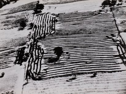 null Mario Giacomelli (1925-2 000)
Sans titre. 
De la série Storie della Terra, c....