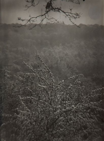 null Josef Sudek (1896-1976)
View of spring from our street, 1973. 
Deux (2) épreuves...