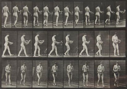 Eadweard Muybridge (1830-1904) Animal Locomotion. Plate 43. 1887. Collotype. Légende...