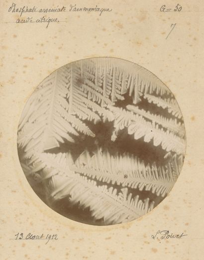 null L. Poivet
Microphotographie de cristaux, 1912-1914. 
Sulfate, acétate, arséniate...