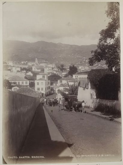 null Photo Santos 
Madère, c. 1885. 
Palmerais. Jardin municipal de Funchal. Entrée...