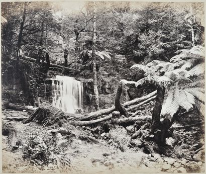 null Photographe non identifié 
Hobart. Tasmanie, c. 1880-1890. 
Fern Tree Bower,...