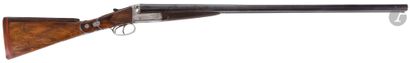 null Ha mmerless shotgun, two shots, 12 gauge, conforming model for fitting. 

Side-by-side...