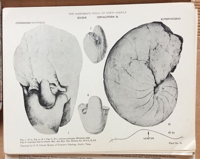 null [GÉOLOGIE]
42 ouvrages, livres ou plaquettes, tous en anglais.

*Catalog of...