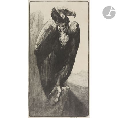 null PAUL JOUVE (1878-1973
)Bald Vulture, work conceived in [1911]
Etching. Printed...