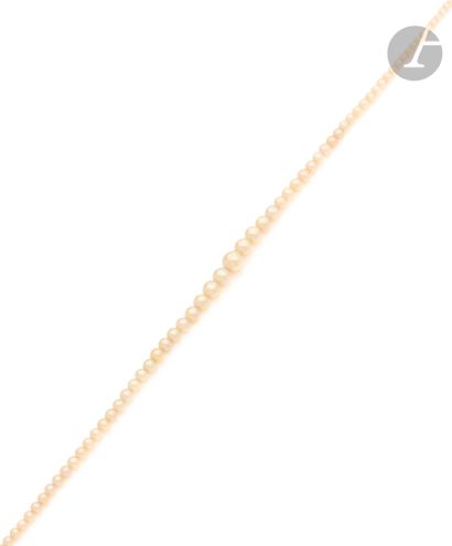 VAN CLEEF & ARPELS 
Necklace of 89 pearls,...
