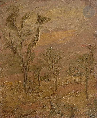  Georges Pierre H. BOUCHE (1874-1941) Paysage Huile sur toile. Signée en bas à gauche....