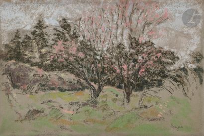 null Ker-Xavier ROUSSEL (1867-1944
)Trees in bloom, circa 1910-1914Pastel
on grey...