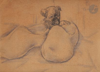  Toshio BANDO [Japanese] (1895-1973 )Puppy with hoovesInk on pencil lines. Signed...