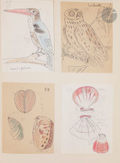 null Ruytchi SOUZOUKI (1902-1985
)Two albums of drawings - Animals, paintings, sketches,...