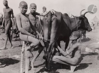 Hugo Bernatzik (1897 - 1953) Sudan. Dinka...