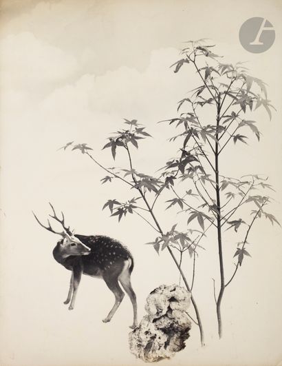 null Chin-San Long (Jingshan Lang) (1892 - 1995) 
Deer and maple, c. 1957. 
8a Exposicao...