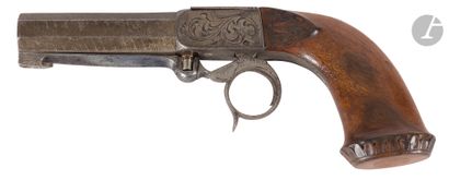 Pistol with trunk with system 