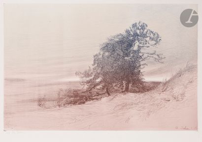 null Charles Dulac (1865-1898) 
Étude d’arbres (Bourgogne). 1893. Lithographie. 480 x 315....