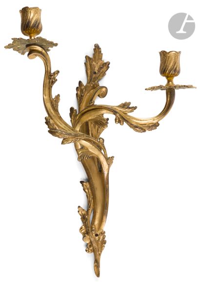 null Pair of small ormolu light arms (gilding redone) with two branches and foliage...