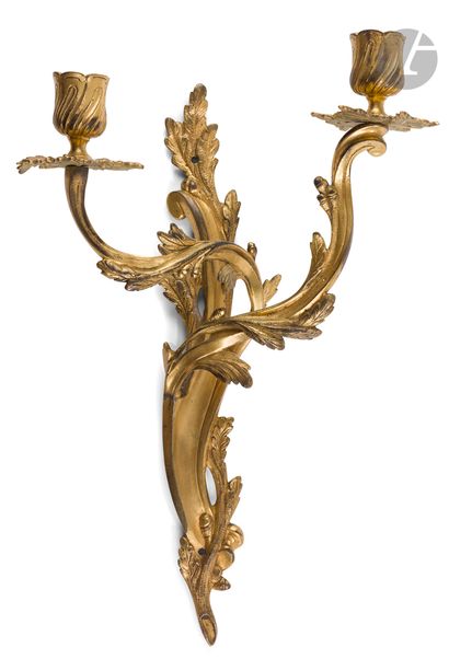 null Pair of small ormolu light arms (gilding redone) with two branches and foliage...