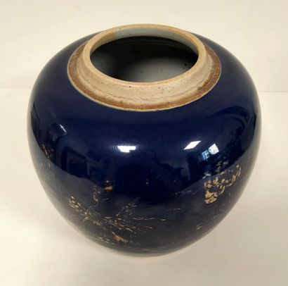 null Powder blue enameled porcelain ginger pot, China 19th
centuryGolden decoration...