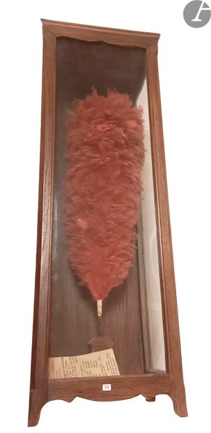 null Large scarlet plume. 
On wooden stem.
Height : 61 cm. 
Presented in its wooden...